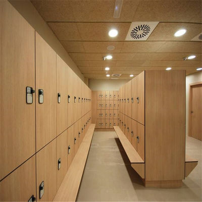 HPLの更衣室のロッカー、12mmの両開きドアの学校の体育館のロッカー